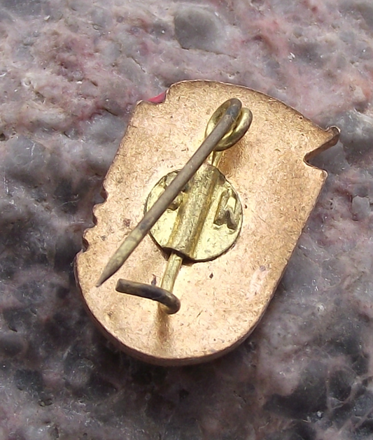 Vintage Romania Polisportiv Athletics Grade 1 Award Flag Pin Badge - Badgecrazy