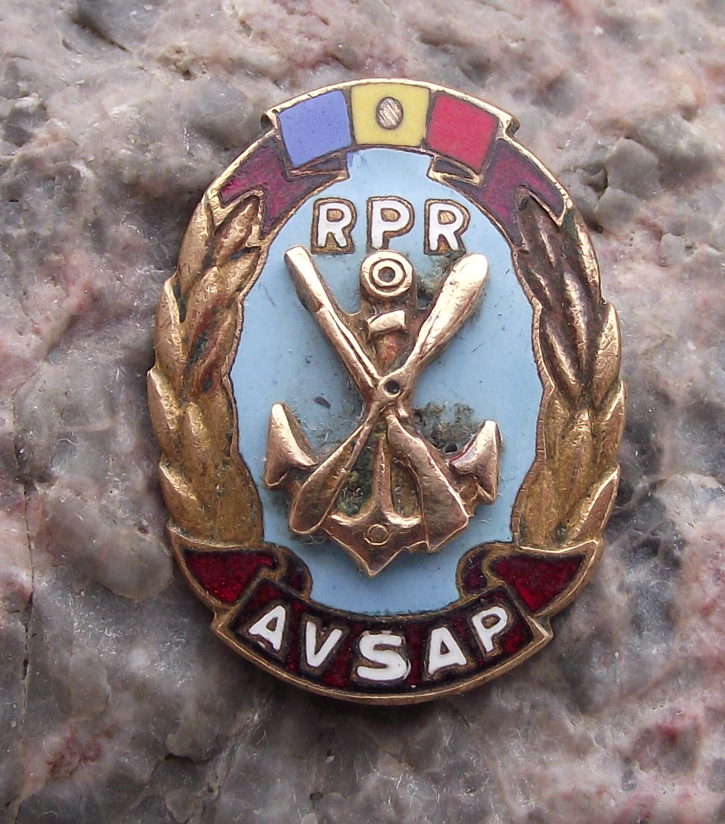 Vintage Romania AVSAP Paramilitary Organisation Anchor Logo Pin Badge