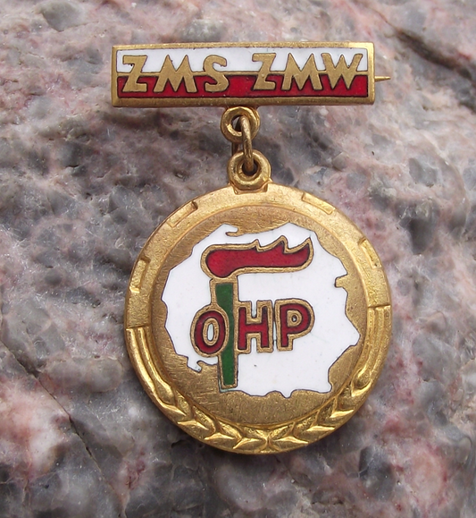 Vintage ZMS ZMW OHP Voluntary Work Force Flaming Torch Medal Poland