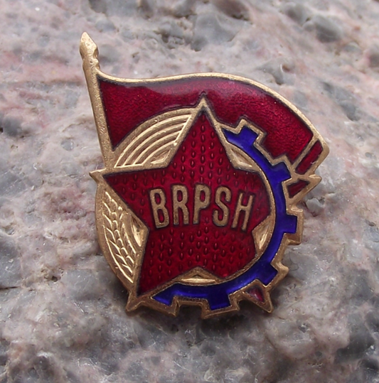 Vintage BRPSH Albania Communist Labour Youth Red Flag Pin Badge