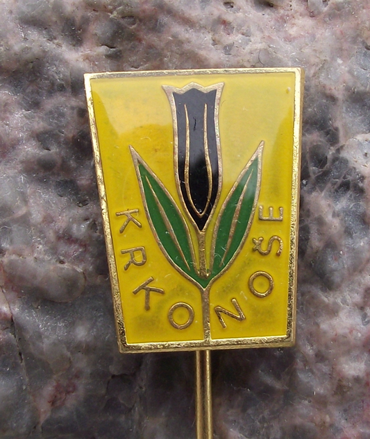 Vintage Krkonose Campanula Bellflower Mountain Flower Pin Badge