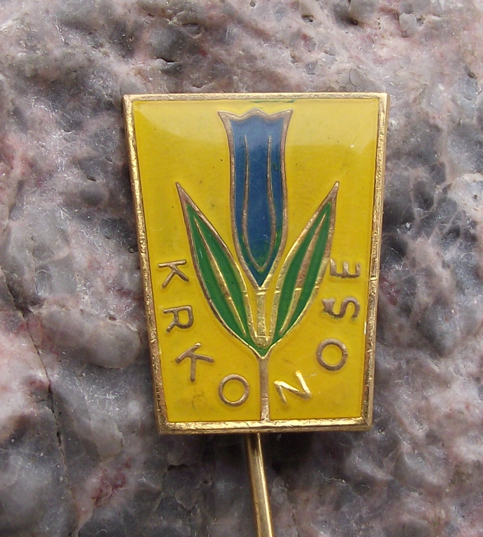 Vintage Krkonose Campanula Bellflower Mountain Flower Pin Badge