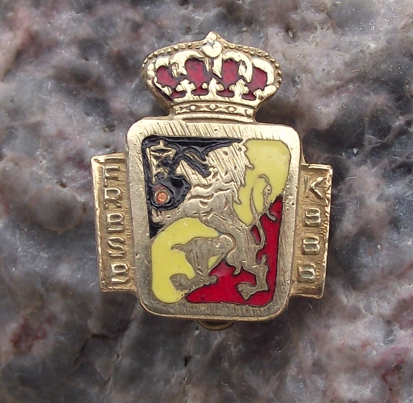 Vintage Belgium Basketball Association FRBSB KBBB Lion Pin Badge