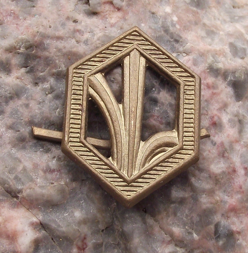 Czechoslovakia Army CSLA Uniform Insignia Chemical Weapons Division Badge