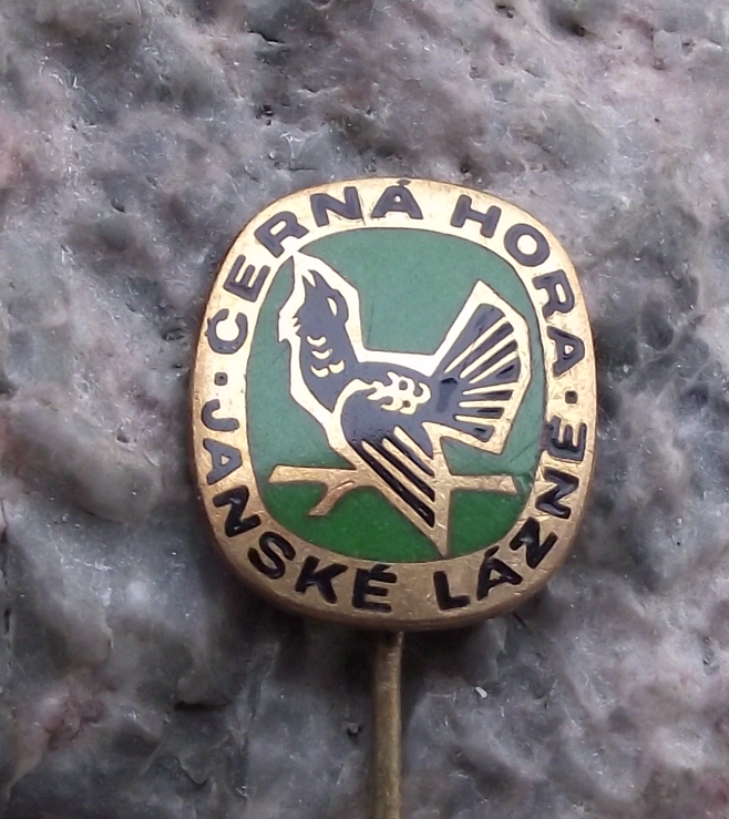 Vintage Cerna Hora Black Mountains Janske Lazne Capercaillie Bird Pin Badge