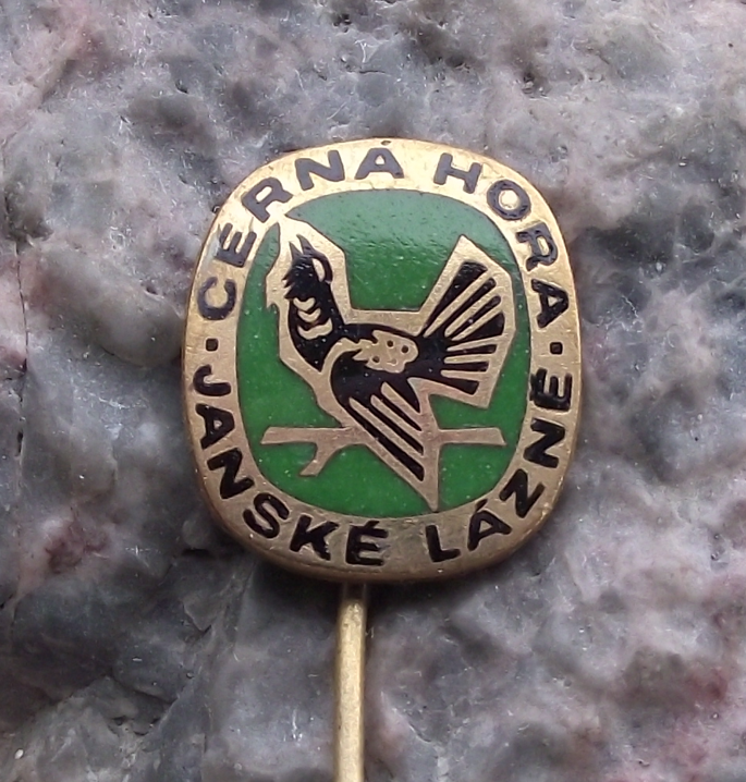 Vintage Cerna Hora Black Mountains Janske Lazne Capercaillie Bird Pin Badge