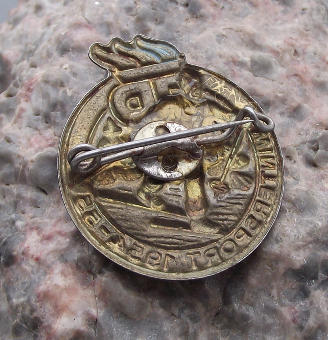 1954 Thalmann Pioneer Organisation Youth Wintersport Skiing Award Pin Badge