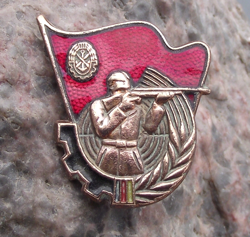 Vintage GST Gesellschaft Sport Technik GDR DDR Rifle Shooting Pin Badge