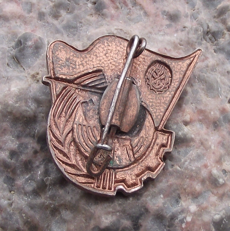 Vintage GST Gesellschaft Sport Technik GDR DDR Rifle Shooting Pin Badge