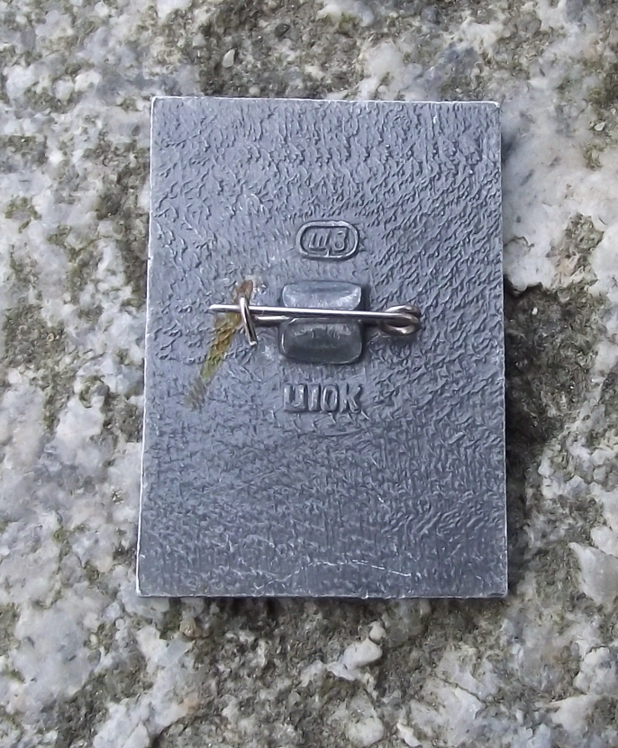 1972 Anniversary of the Soviet Union CCCP Motif Pin Badge