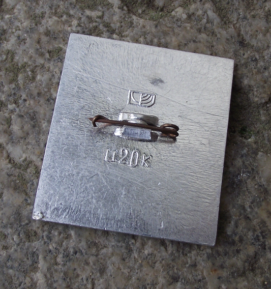 Vintage Kama River Shipping Company Sputnik Hydrofoil Russian Pin Badge - Badgecrazy