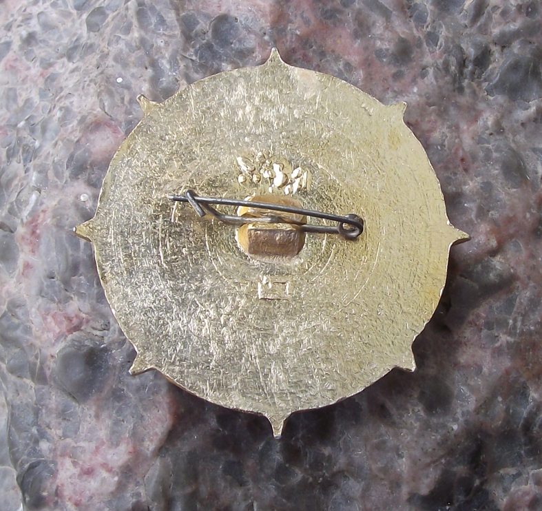 Vintage Soviet Danube Shipping Company Ship Wheel Pin Badge - Badgecrazy