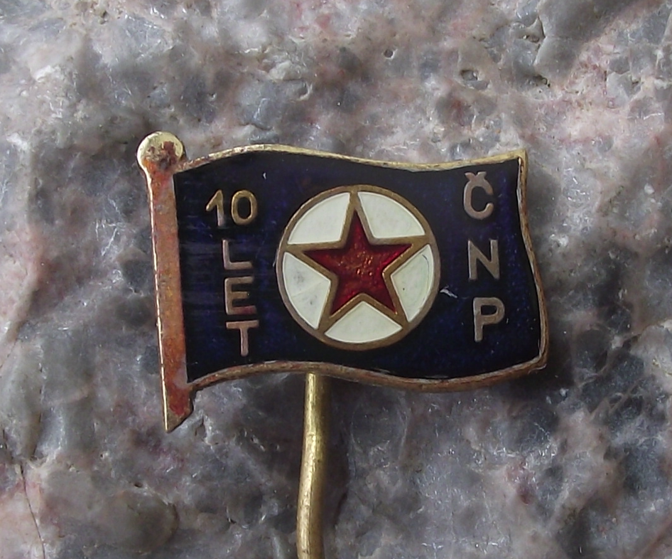 Vintage CNP Czechoslovakia Maritime Navigation Company Flag Anniversary Pin Badge