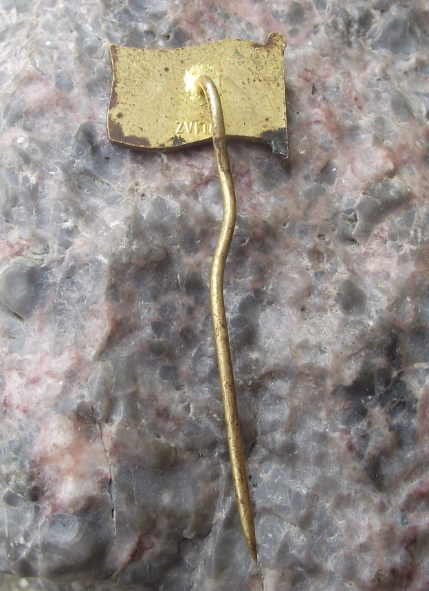 Vintage CNP Czechoslovakia Maritime Navigation Company Flag Anniversary Pin Badge