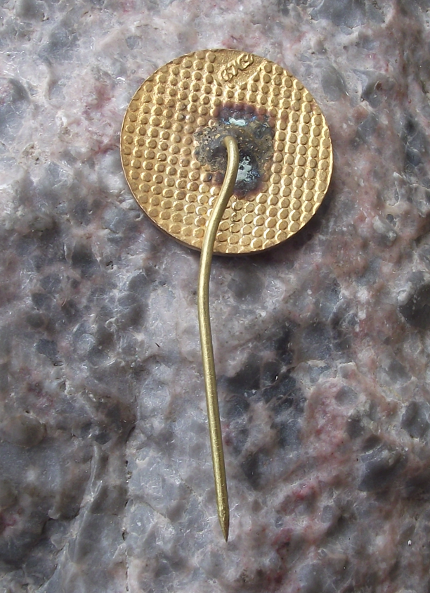 Vintage BRP Rousse Bulgarian River Shipping Danube Ship Boat Company Pin Badge - Badgecrazy