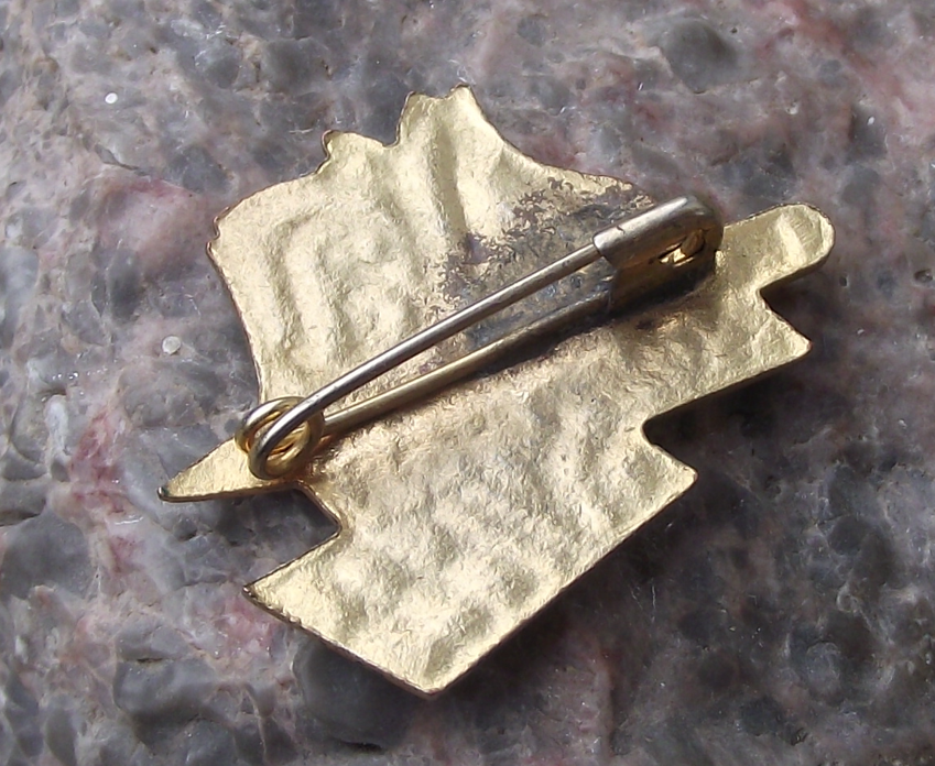 Vintage Cuba Revolution Union of Electrical Workers SNTEEE Pin Badge