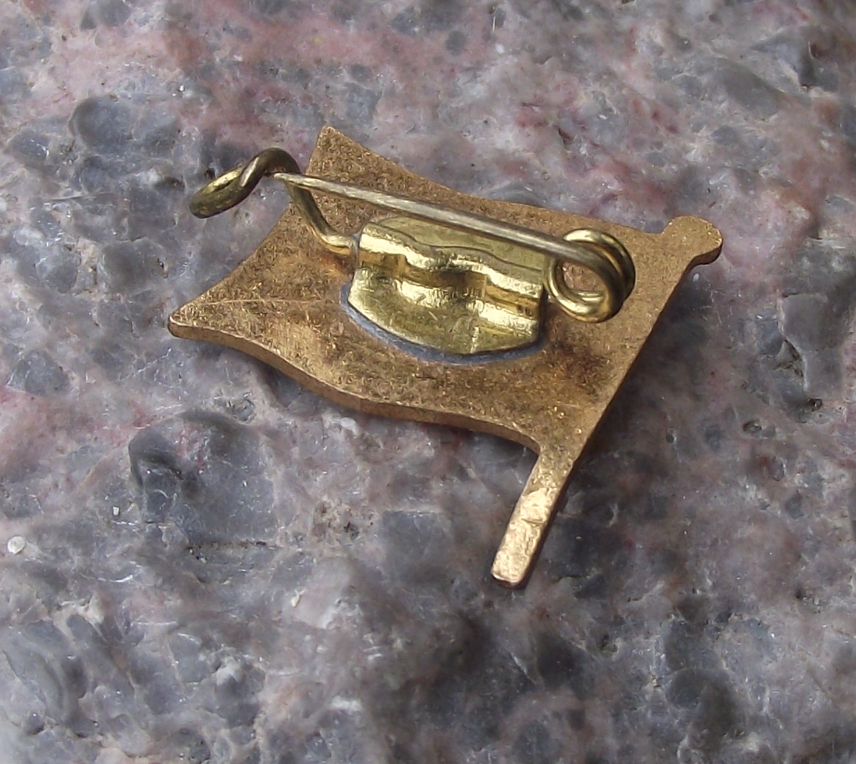 Vintage Deutsche Binnenreederei East German Shipping Company Flag Pin Badge