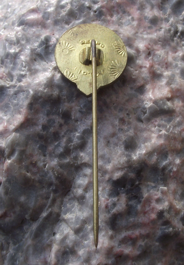 Vintage Ferencvarosi Torna Club TC Budapest 1899 Hungary Football Team Pin Badge