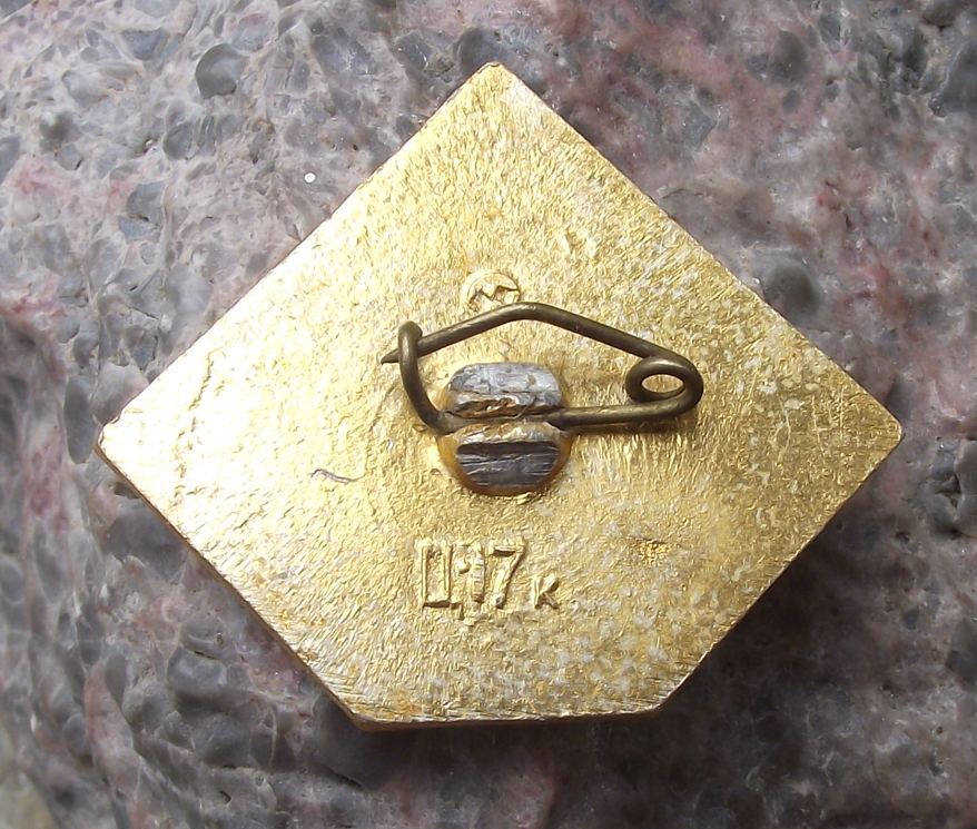 1968 Dynamo Kiev Football Champions Ukraine Soccer Pin Badge