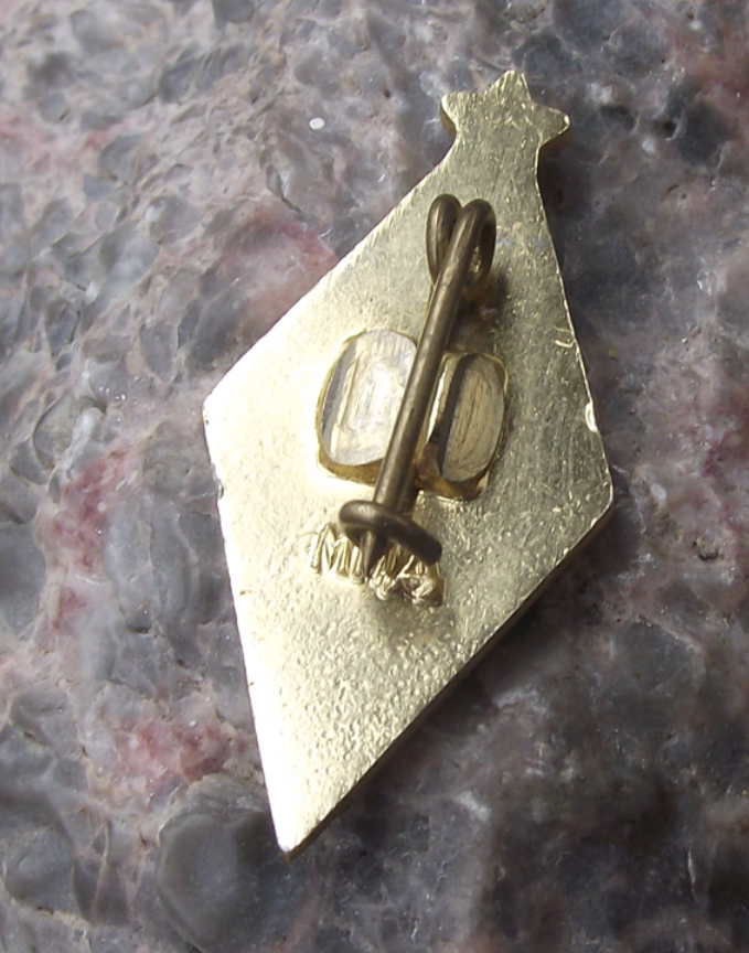 Vintage Dynamo Kiev Football Club Ukraine Soccer Logo Pin Badge