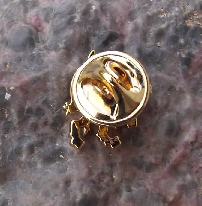Czechia Czech Republic Rampant Lion National Coat of Arms Gold Color Pin Badge
