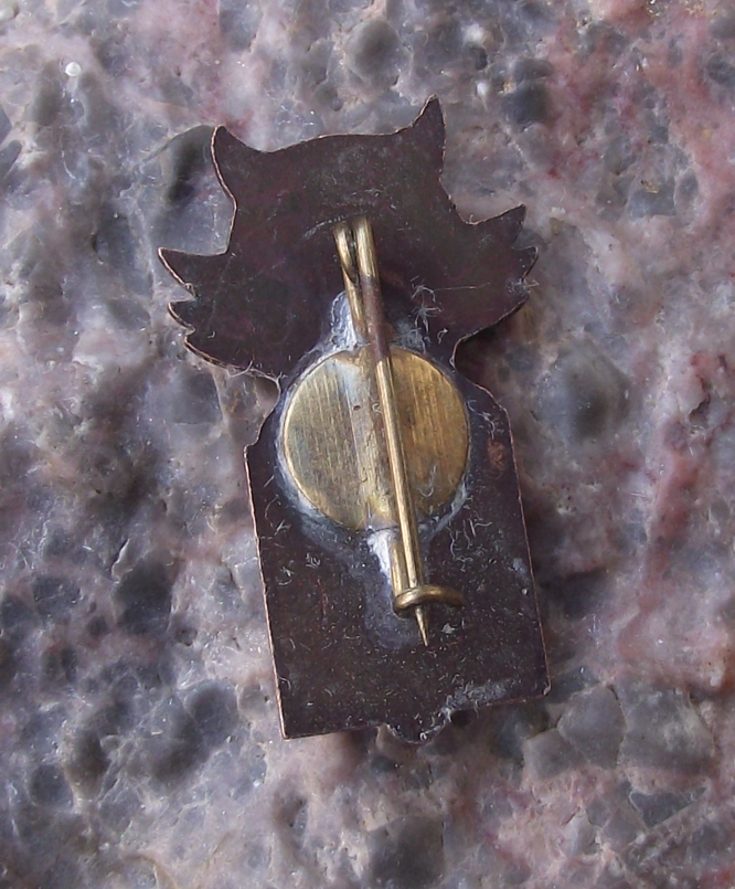 Vintage Tartu Estonia Owl over Open Book Pin Badge