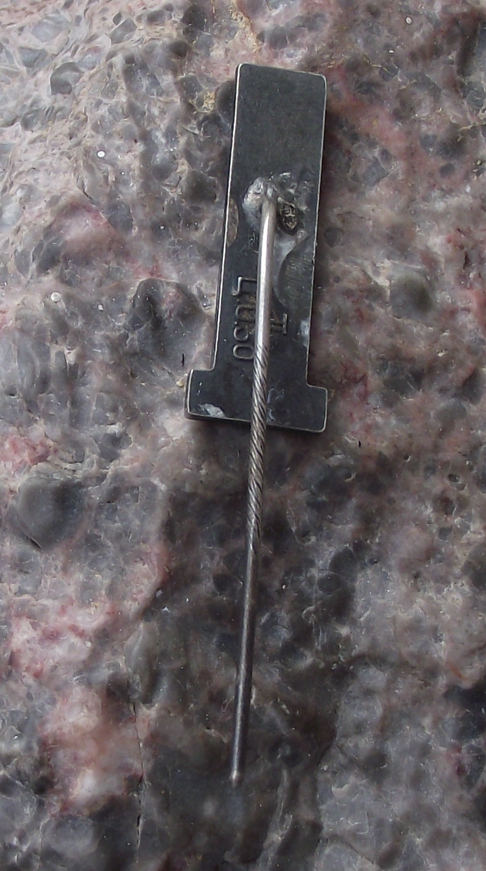 Vintage Tartu Estonia Church Clock Tower and Flag Pin Badge