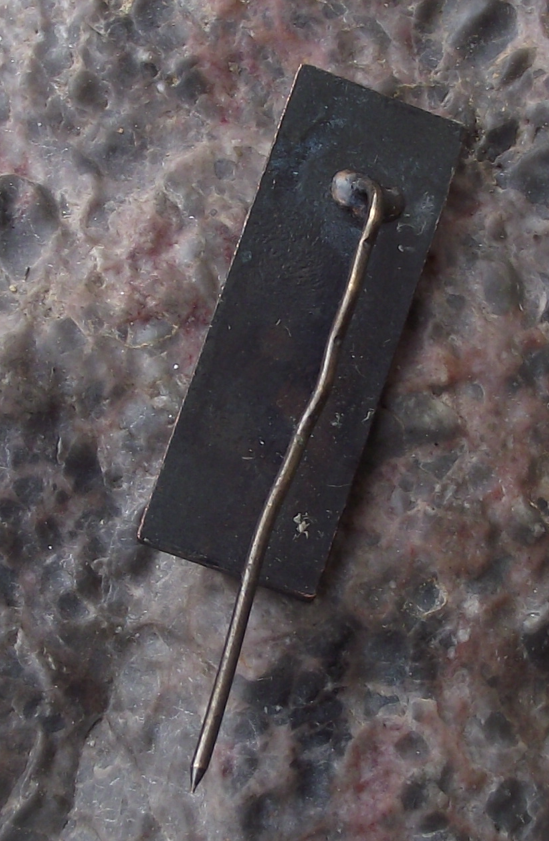Vintage Latvia Tukums Rose Souvenir Pin Badge