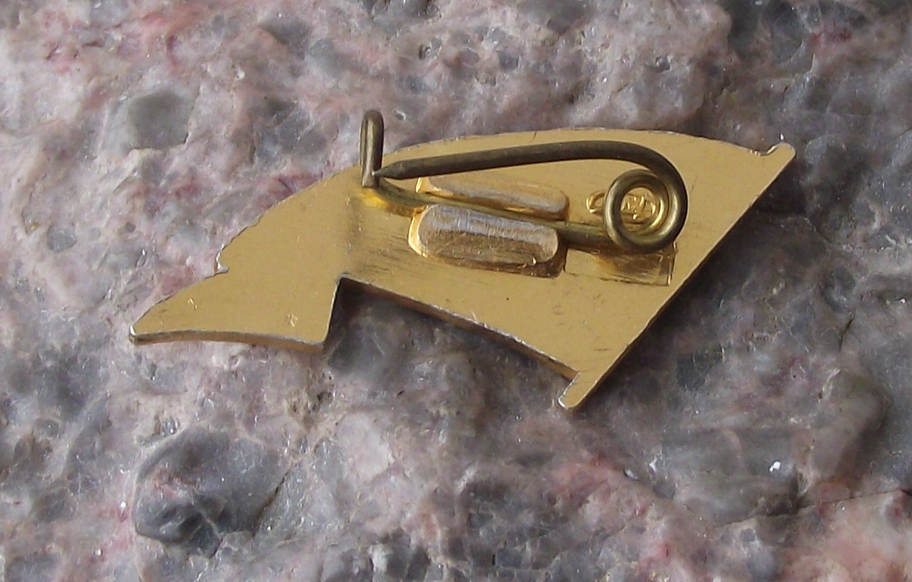 Vintage Moscow River Shipping Company Soviet Union House Flag Pin Badge