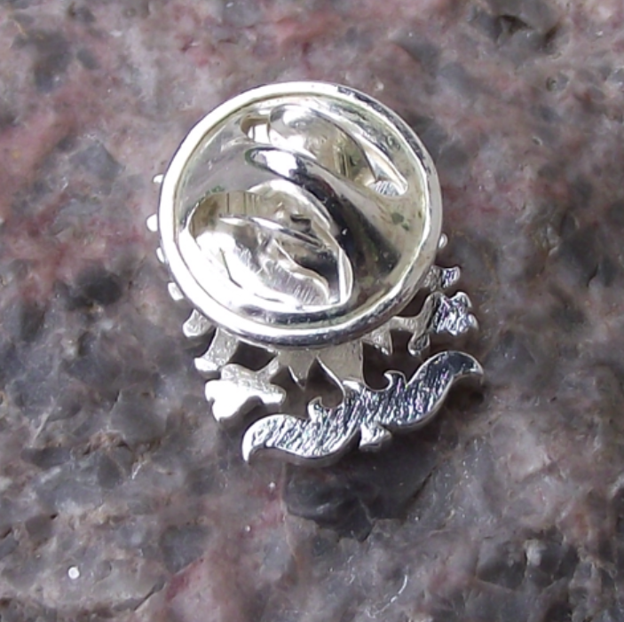 Moravian Eagle Czechia Coat of Arms Czechoslovakia Pin Badge