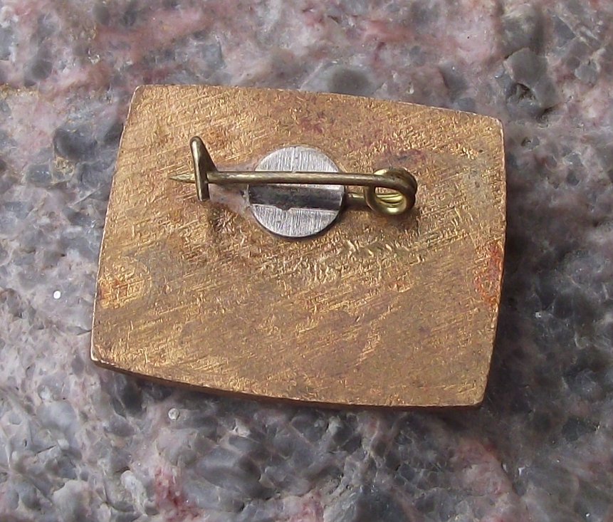 Vintage Vityaz TV Company Bogatyr Slavic Knight Pin Badge