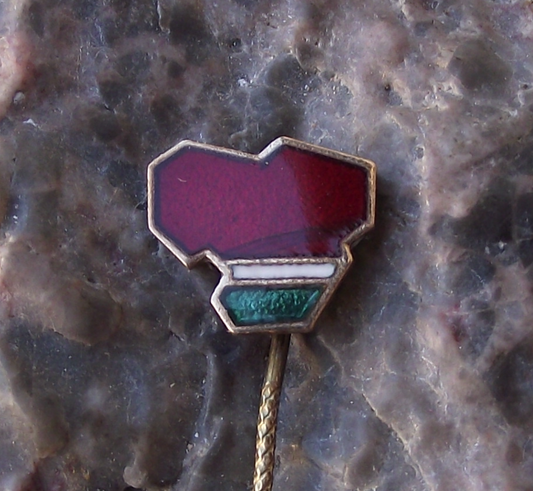 Vintage Lithuania Soviet Socialist Republic Flag Country Shaped Pin Badge