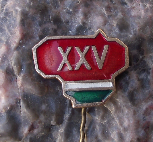 1965 Lithuania Soviet Socialist Republic Flag Country Anniversary Pin Badge