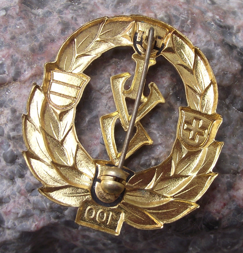 Vintage 100 km IVV Internationaler Volkssportverband Large Award Pin Badge