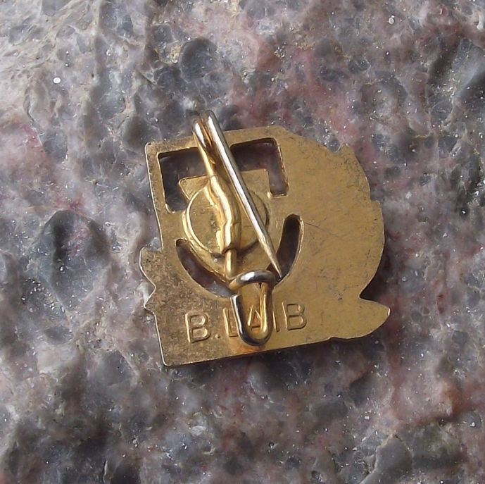 Vintage 4000 km IVV Internationaler Volkssportverband Large Award Pin Badge