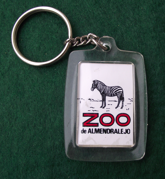Vintage Zoo de Almendralejos Abandoned Post Apocalyptic Zebra Keychain Keyring