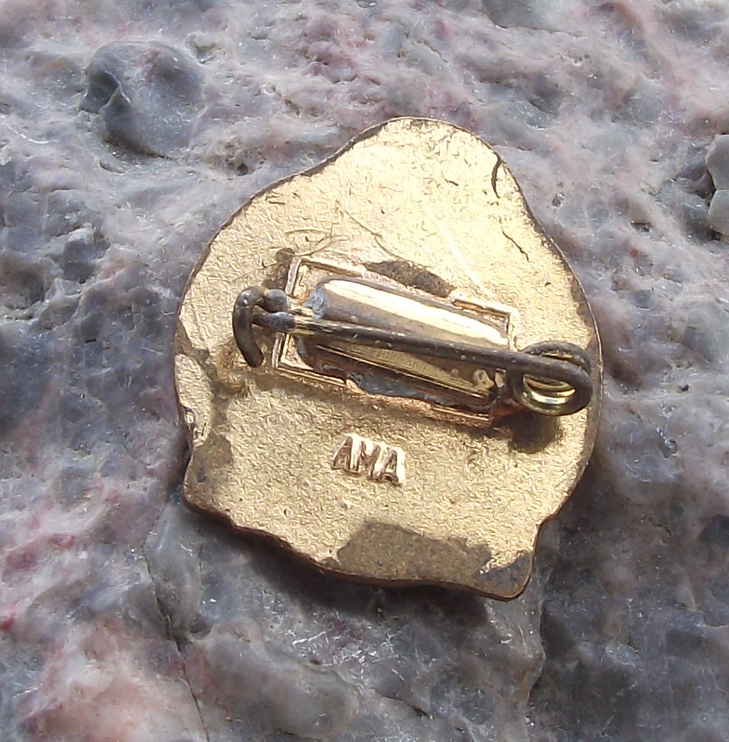 1959 Luna 3 First Photographs of Dark Side of Moon Space Rocket Pin Badge