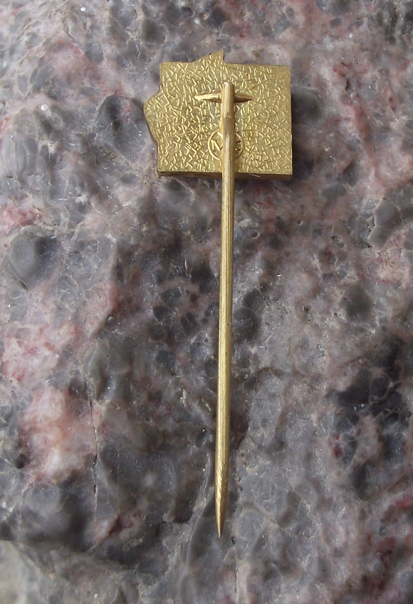 Vintage SCSP BSP Flags Czechoslovakia Russian Friendship Alliance Pin Badge