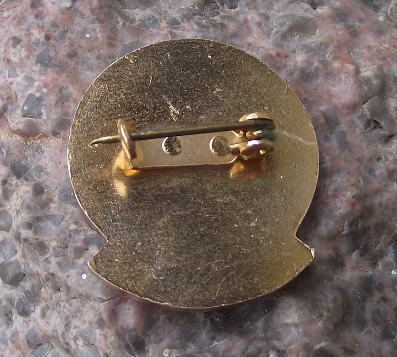 Young Technician Czechoslovakia Youth Pioneer Technical Award Pin Badge Red