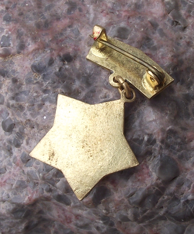 1962 CSM Pionyr Pioneer Youth Organisation Anniversary Red Star Pin Badge