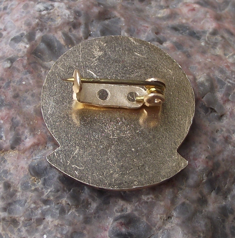 Young Technician Czechoslovakia Youth Pioneer Technical Award Pin Badge Blue