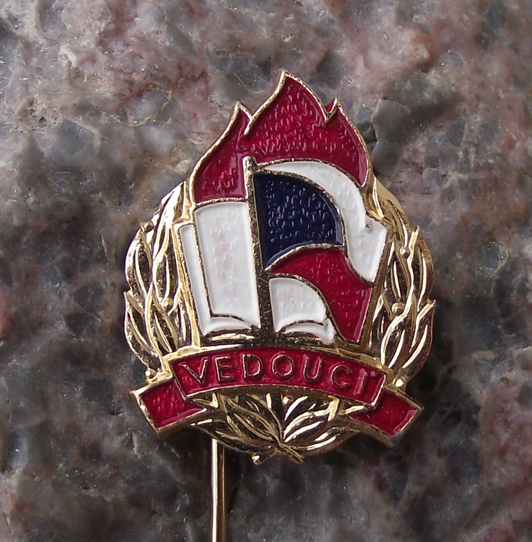 Vintage Pioneer Scout Youth Group Czech Flag Troop Leader Organiser Pin Badge