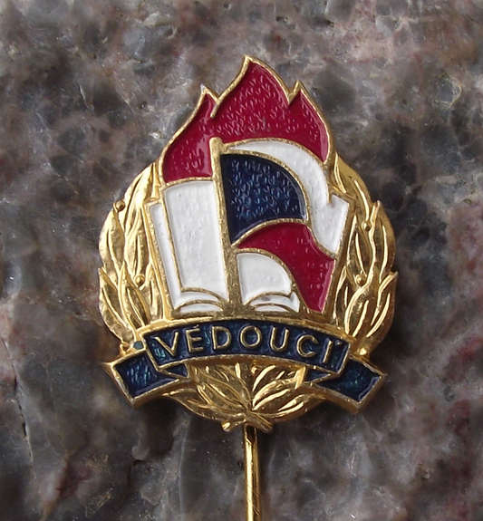 Vintage Pioneer Scout Youth Group Czech Flag Troop Leader Organiser Pin Badge