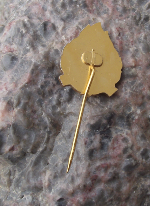 Vintage Pioneer Scout Youth Group Czech Flag Troop Leader Organiser Pin Badge