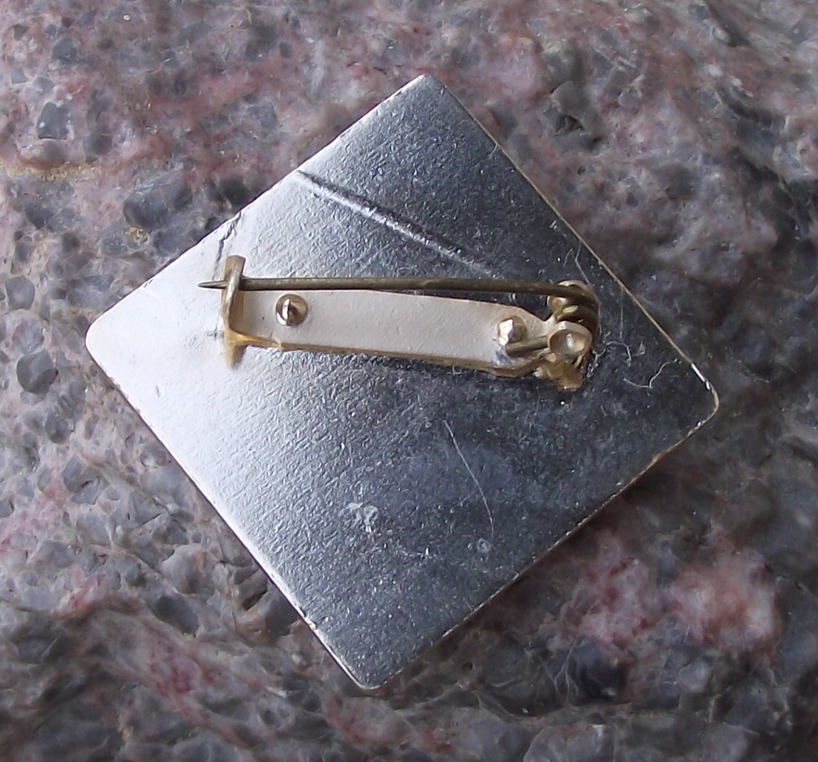 Young Pioneer Czechoslovakia Youth Camping Award Stage 4 Tent Pin Badge