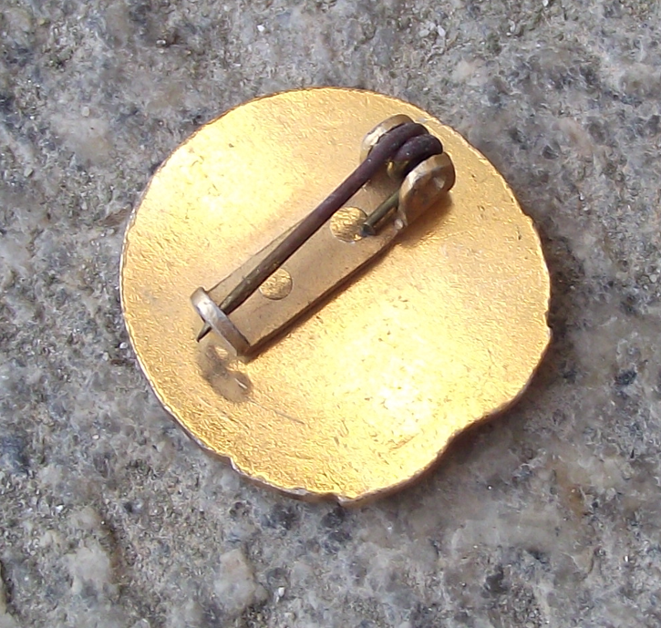 1959 CSSR Czech Pioneer Scout Youth Group 10th Anniversary Pin Badge