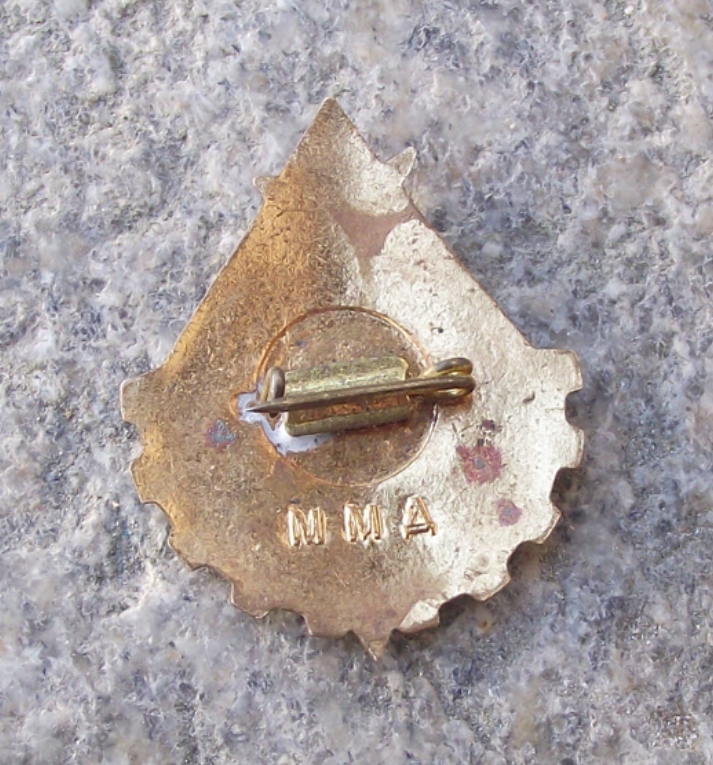 Vintage Young Technician Soviet CCCP Youth Pioneer Communist Award Pin Badge