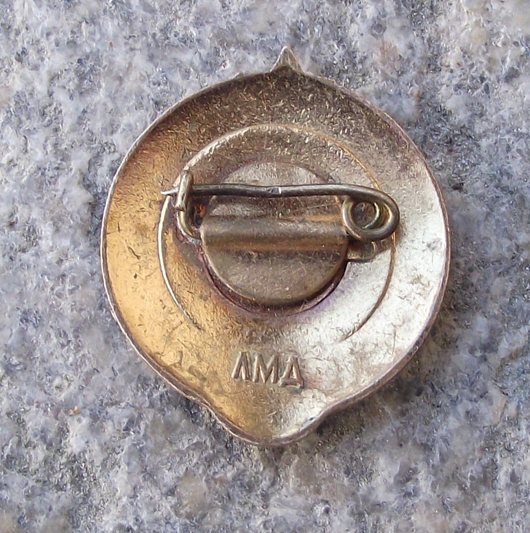Vintage Young Tourist Soviet CCCP Youth Pioneer Communist Award Pin Badge