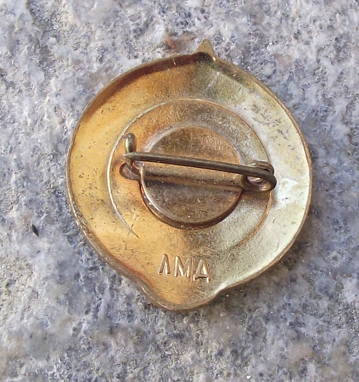 Vintage Young Tourist Soviet CCCP Youth Pioneer Communist Award Pin Badge