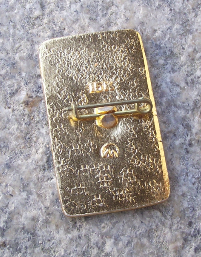 Birthday Anniversary of the Soviet Pioneer Association Red Star Flames Pin Badge